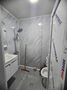 a bathroom with a shower and a toilet in it at goderdzi booking in Goderdzi