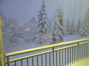 a view of a snow covered forest with trees at goderdzi booking in Goderdzi