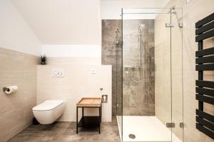 a bathroom with a shower and a toilet at Apartment Alpbachtraum in Alpbach +63 photos