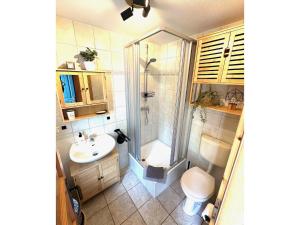 a bathroom with a shower and a sink and a toilet at Bootshaus, Mirow in Mirow