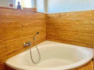 a bath tub with a shower in a bathroom at Hochsitz Appartement in Seelitz +10 photos