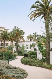 a courtyard with palm trees and a white building at Waldorf Astoria Monarch Beach Resort & Club in Dana Point