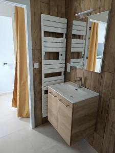 a bathroom with a sink and a mirror at Appartement Marilou in Pompiey