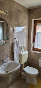 a bathroom with a sink and a toilet and a mirror at Lukács Ház in Bük +39 photos