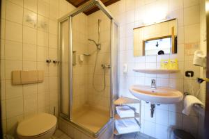 a bathroom with a shower and a sink and a toilet at Landgasthaus Pension Schmidthöfer in Berschweiler