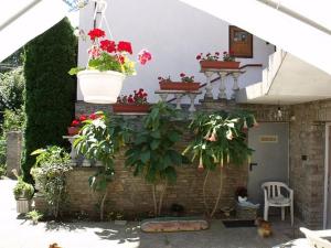 Ảnh trong thư viện ảnh của Magdi Panzió ở Hévíz +17 ảnh