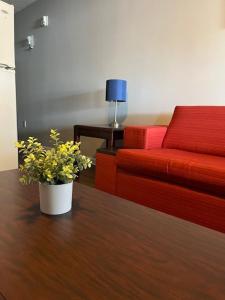a living room with a couch and a flower pot on a table at Valley Suites Extended Stay Hotel in Harrisonburg