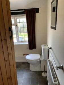 a bathroom with a toilet and a window at Broadwalk 6 in Coltishall