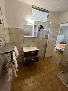 a bathroom with a sink and a mirror at Les 2 Cocotiers - Studios in Sainte-Luce