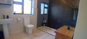 a bathroom with a shower and a toilet and a sink at Lake view in Fenagh