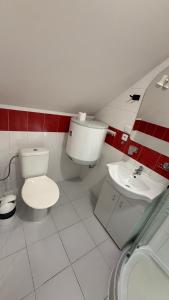 a bathroom with a toilet and a sink at Ubytování Divišov in Divišov