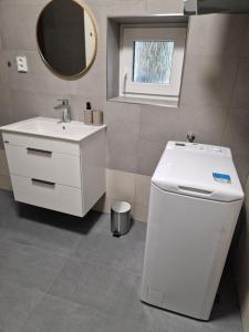 a bathroom with a sink and a toilet and a mirror at Ve dvoře in Výrovice +14 photos