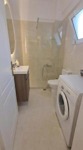 a bathroom with a washing machine and a toilet at Holiday & Business Furnished Apartments in Mytikas