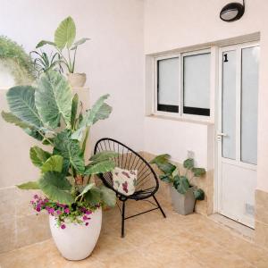 a room with plants and a chair and a window at Gotas de Rocio N1 in San Antonio Oeste