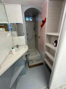 a small bathroom with a sink and a shower at Appartement familial de 60 M2 in Angoulême