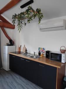 a kitchen with a sink and a microwave at La Cabane aux Hirondelles in Entraigues