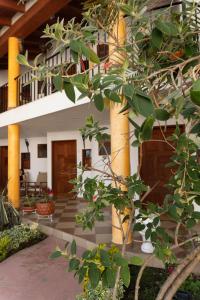 ein Innenhof eines Gebäudes mit einem Baum in der Unterkunft Hotel Morada de Paz in Colorines