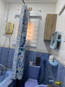 a bathroom with a purple toilet and a shower curtain at Flamingo 1 spacious solar powered 2 bedroom home with a stocked ready kitchen in Jos +7 photos