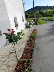 a row of flowers on the side of a building at Apartman Antonio 2 in Karlovac +4 photos