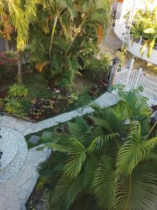 a garden with palm trees and a white bench at La plus grande source d'eaux chaudes F1 in Bouillante