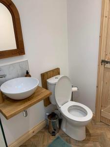 a bathroom with a white toilet and a sink at Mini Treacle Cottage in Dundry