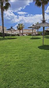 a green field with palm trees and umbrellas at Casa Mediterránea Kai in Gran Alacant