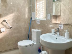 a bathroom with a white toilet and a sink at Thistle Dubh in Drumnadrochit +5 photos