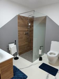 a bathroom with a shower and a toilet at Jacuzzi Apartman in Karuše