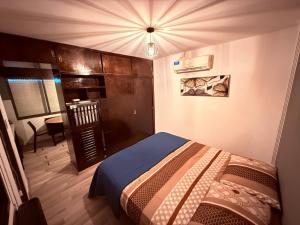 a bedroom with a bed in a room at Bicentenario Alem in Villa María