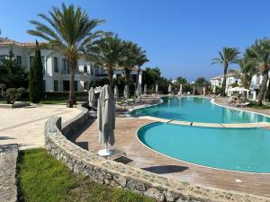 a swimming pool in a resort with palm trees at Kıbrıs Town House Menekşe in Aglantzia