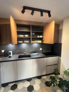 a kitchen with a sink and a counter at Newly built 2-Bed Flat with parking in Pully in Pully