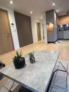 a room with a table with two potted plants on it at Newly built 2-Bed Flat with parking in Pully in Pully +12 photos