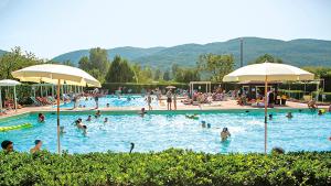 a group of people in a swimming pool with umbrellas at Bungalow Resort Ameglia in Ameglia