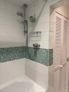 a bathroom with a shower with a toilet and a sink at The Marsh Harrier B&B in Oxford +14 photos