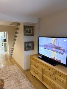 a living room with a large television on a wooden dresser at The Marsh Harrier B&B in Oxford
