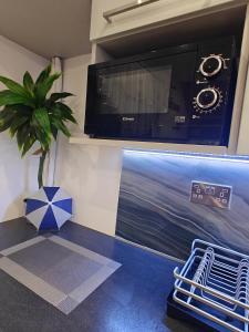 a room with a television and a potted plant at Clonakilty Cozy Nest in Clonakilty +12 photos