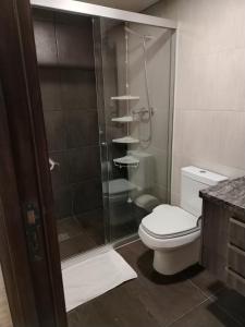 a bathroom with a toilet and a glass shower at Departamento de lujo 2D Av Arce in La Paz +12 photos