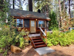 ein winziges Haus im Wald mit einer Treppe in der Unterkunft Rustic Cottages in Tahoe Vista