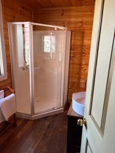 a bathroom with a shower and a sink at The Bears in Geeveston
