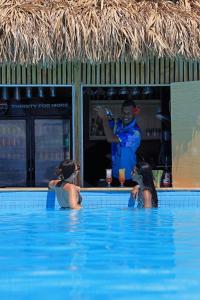 a group of people in a swimming pool at Beachcomber Island Resort in Beachcomber Island