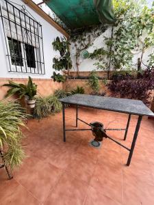 a table in the middle of a courtyard with plants at Casa Vista Hermosa Rute in Rute