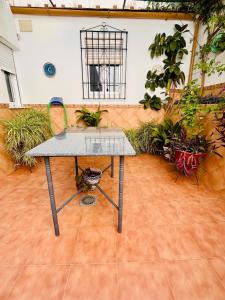 a table in the middle of a room with plants at Casa Vista Hermosa Rute in Rute