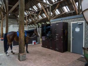 a horse is standing in a barn with a pole at Rutershoeske in Veendam