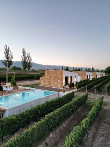 a pool in the middle of a garden with bushes at Rincon del Malbec in Ciudad Lujan de Cuyo