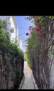 a narrow alley with red flowers on the side of a building at Appartement rez de jardin in Hammamet