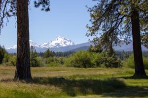 a view of a mountain from between two trees at Lodge Condo 036 in Black Butte Ranch