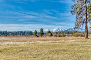 a field with trees and mountains in the background at Lodge Room 018 in Black Butte Ranch