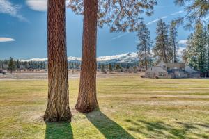 two trees in a field with a house in the background at Lodge Room 020 in Black Butte Ranch