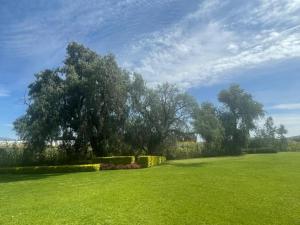 ein großes grünes Feld mit Bäumen im Hintergrund in der Unterkunft Glamping Lagoon in Tlaxcala de Xicohténcatl