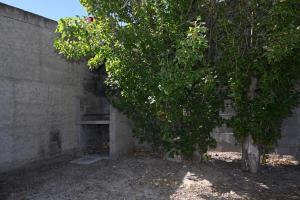 a tree next to a brick wall with a tree at Como en casa in Rawson